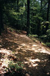 Old CCC road